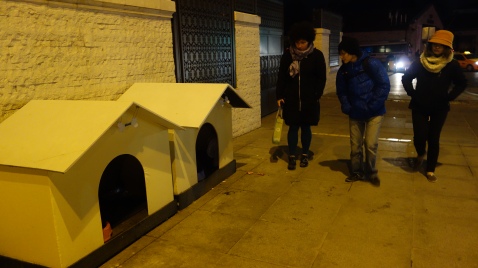 在豪華飯店後方遇到狗屋，其實伊斯坦堡的街頭狗屋也隨處可見。