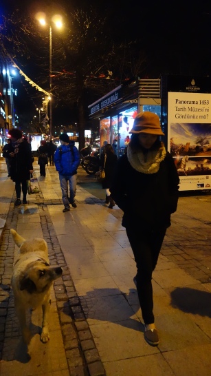 伊斯坦堡的浪犬都相當親人，每隻都招之即來，揮之不去。隨便玩一下就跟著人走上好一段。